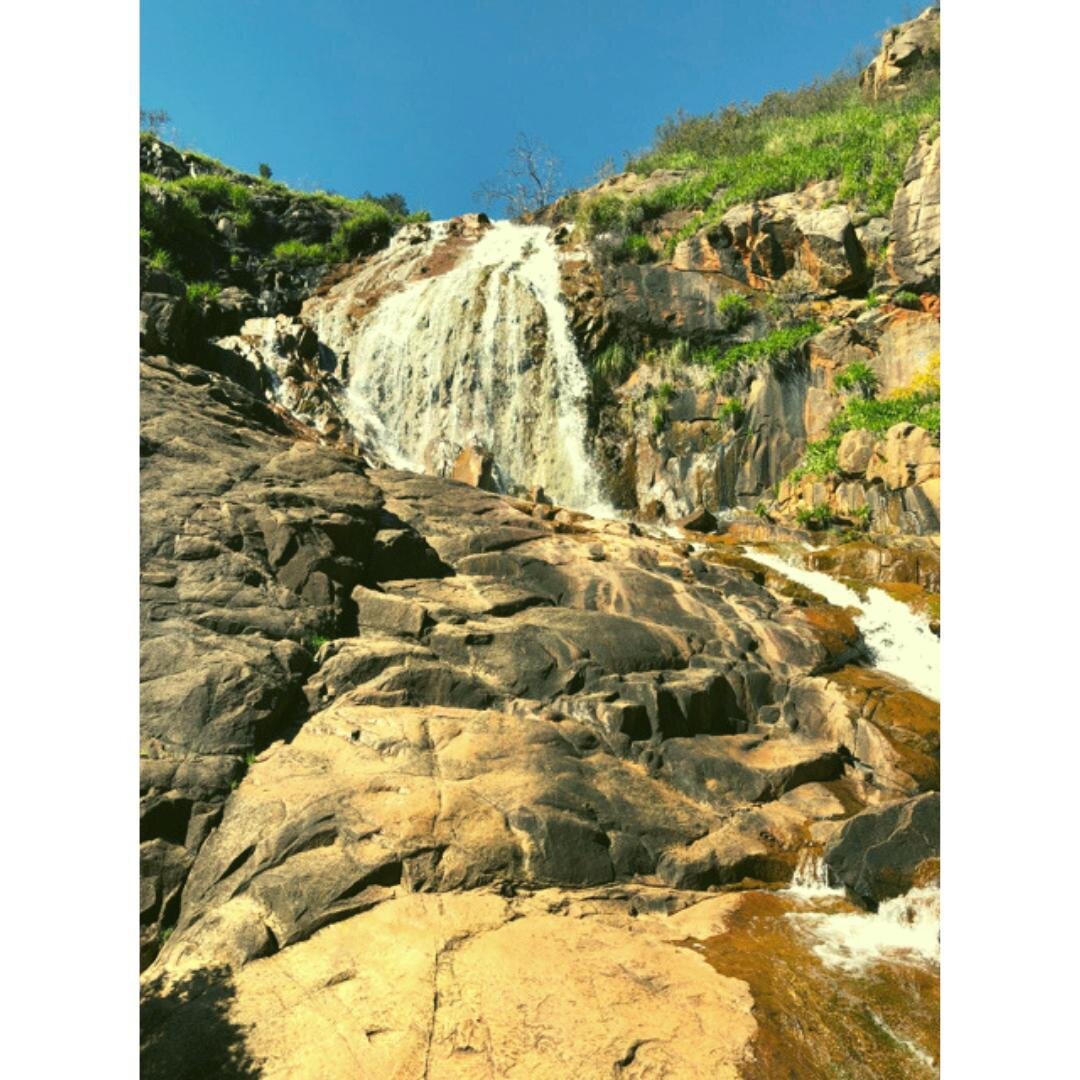 I 💜 Lesmurdie Falls! ⁣
⁣
Well worth a visit at the moment after the wettest July in 26 years! 🙀⁣
⁣
I've been loving cozy days in listening to the rain on the roof, but I am also sooooo ready for Sunny Spring days enjoying wildflowers and walking am